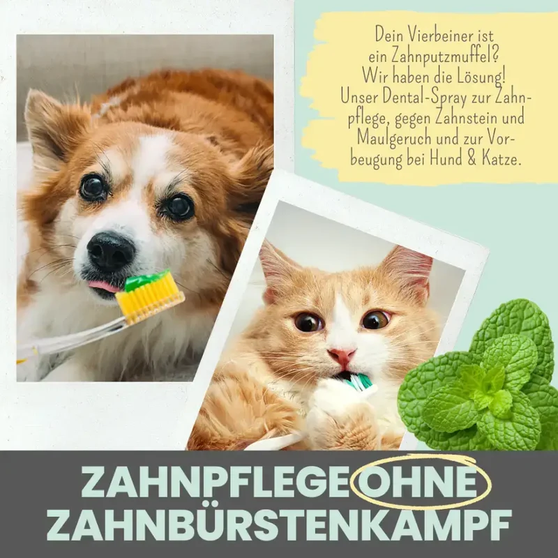Dental-Spray Hund | Natürlich gegen Zahnstein