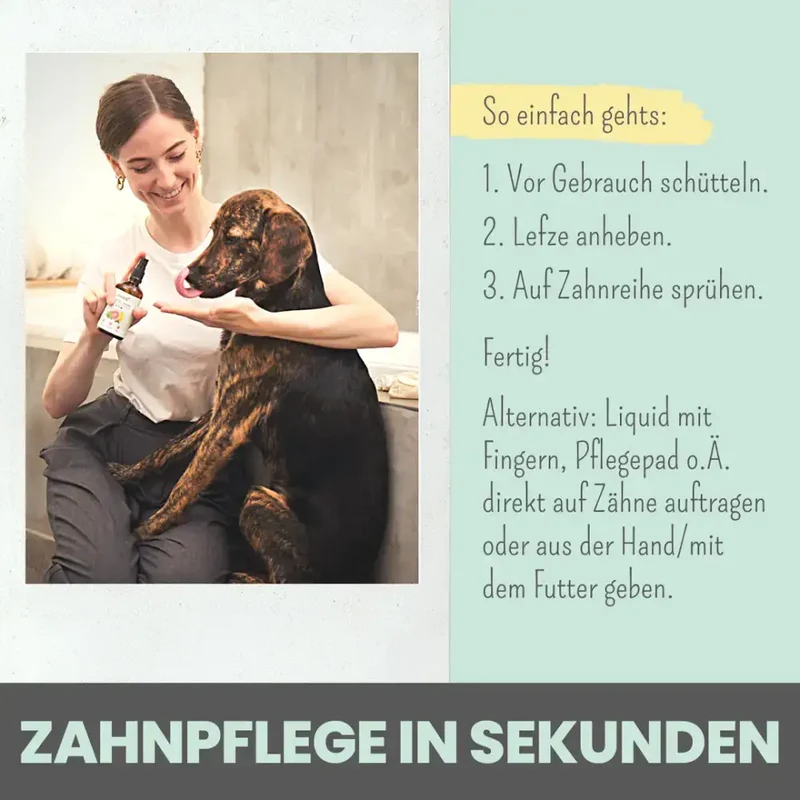 Dental-Spray Hund | Natürlich gegen Zahnstein