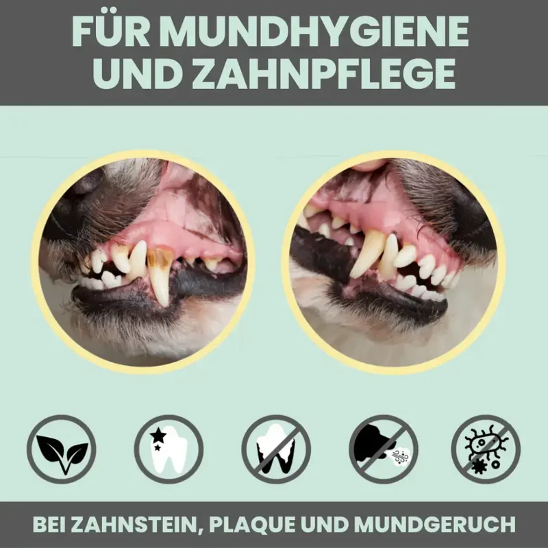Dental-Spray Hund | Natürlich gegen Zahnstein