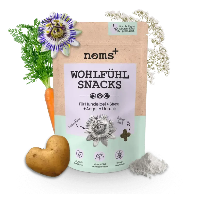 Wohlfühlsnacks Hund | bei Stress, Angst & Unruhe