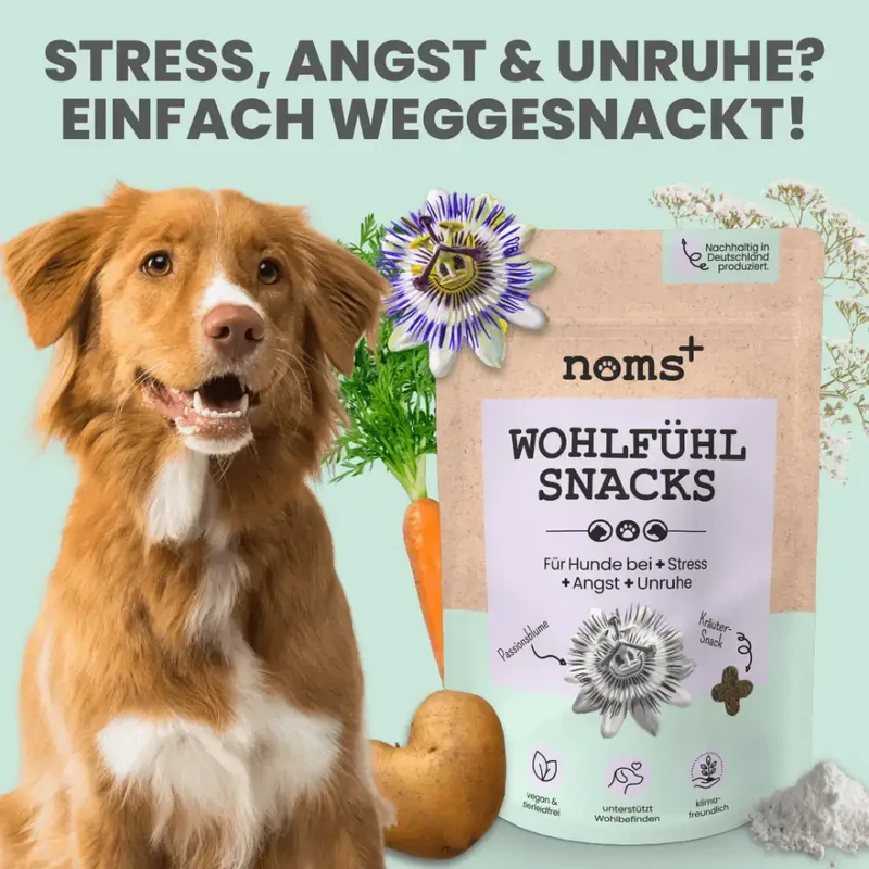 Wohlfühlsnacks Hund | bei Stress, Angst & Unruhe