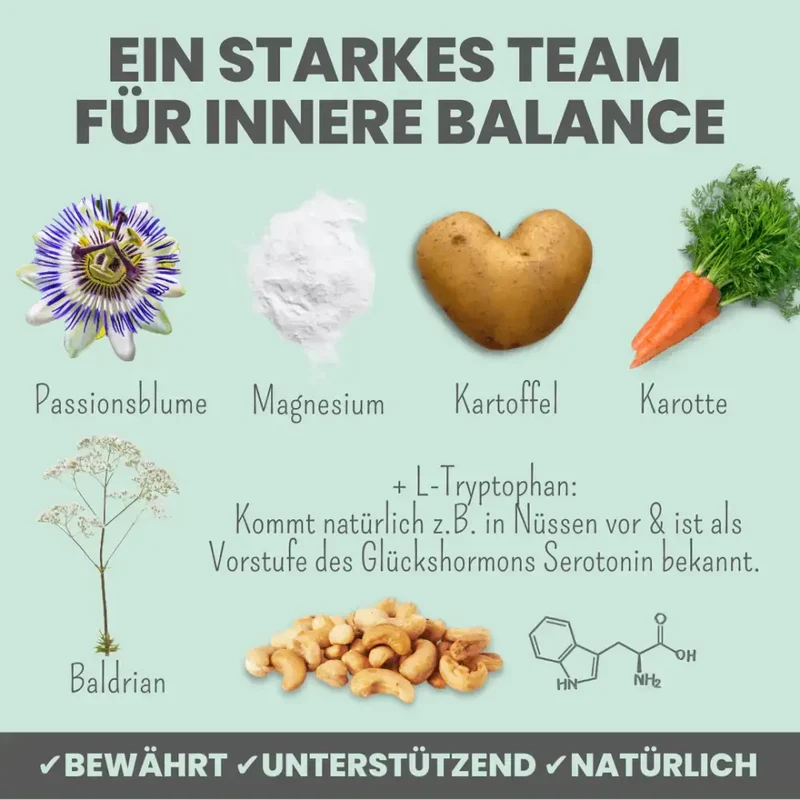 Wohlfühlsnacks Hund | bei Stress, Angst & Unruhe
