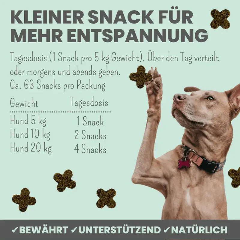 Wohlfühlsnacks Hund | bei Stress, Angst & Unruhe