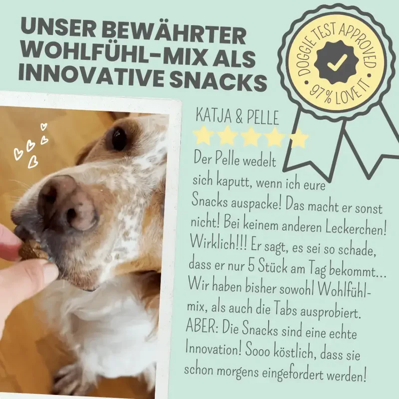 Wohlfühlsnacks Hund | bei Stress, Angst & Unruhe