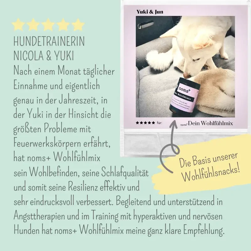 Wohlfühlsnacks Hund | bei Stress, Angst & Unruhe