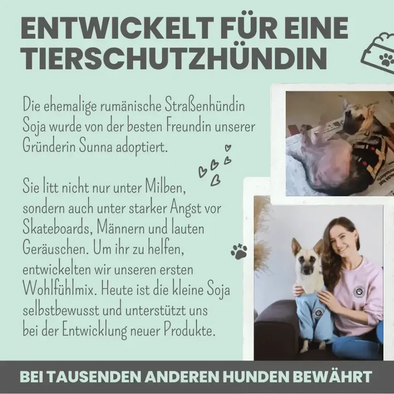 Wohlfühlsnacks Hund | bei Stress, Angst & Unruhe