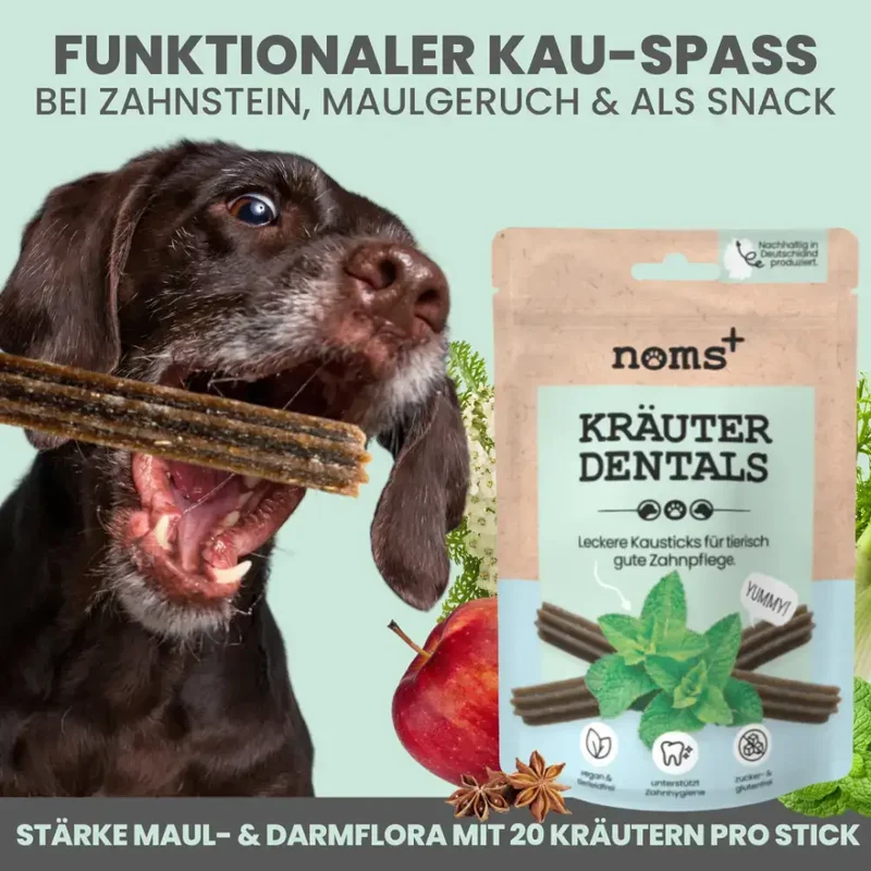 Kräuter Dentals Hund | Gesunde Zahn- und Darmpflege