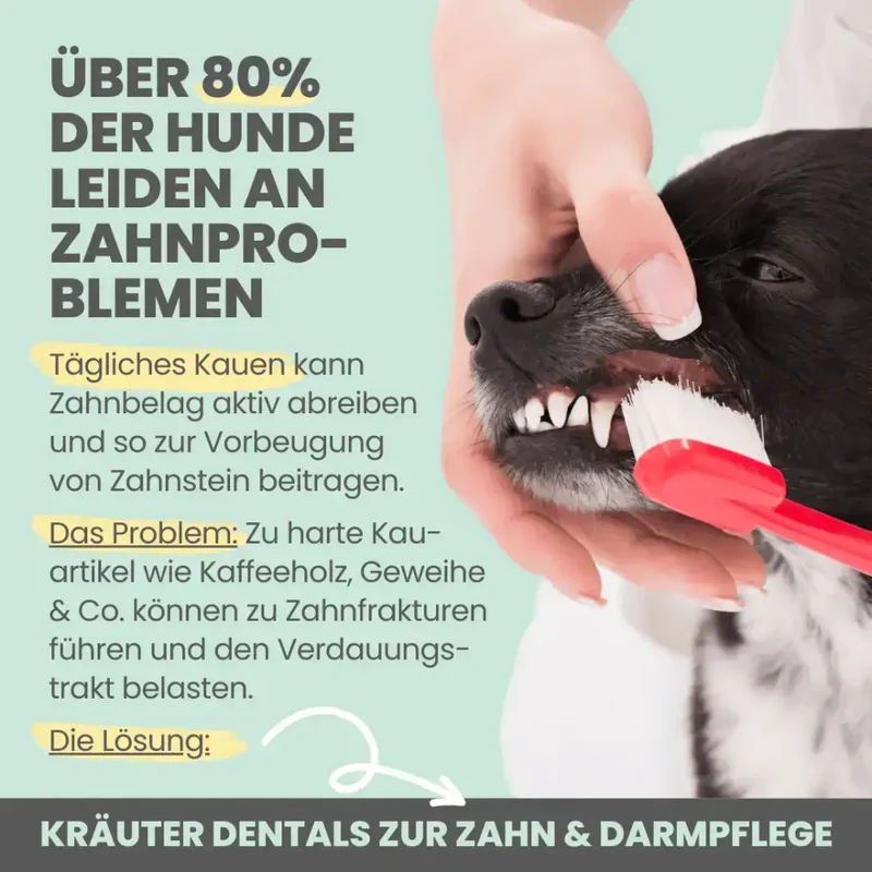 Kräuter Dentals Hund | Gesunde Zahn- und Darmpflege