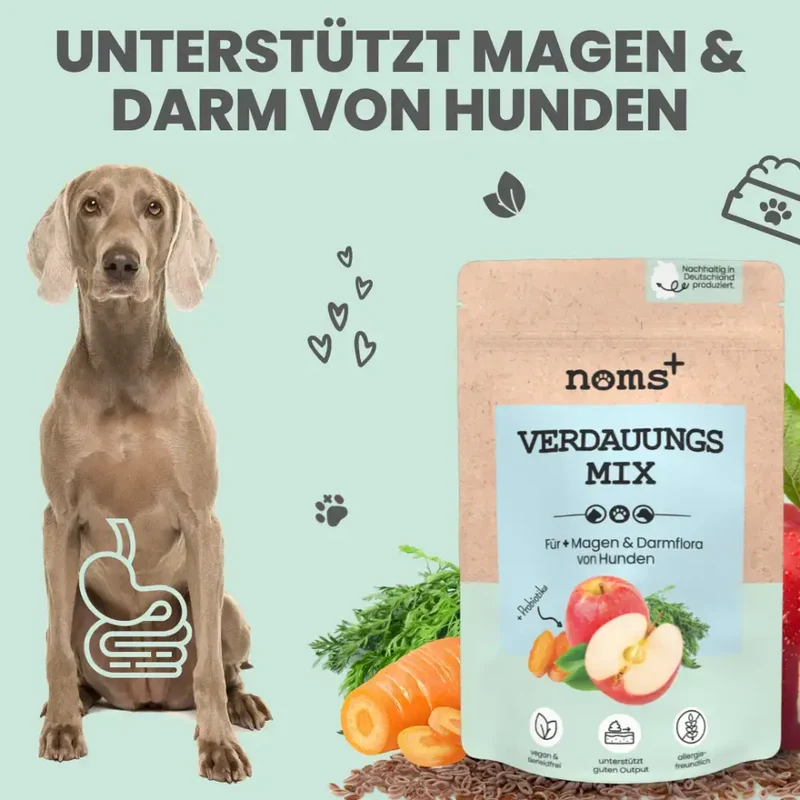 Verdauungsmix für Hunde | Gesunde Magen-& Darmflora