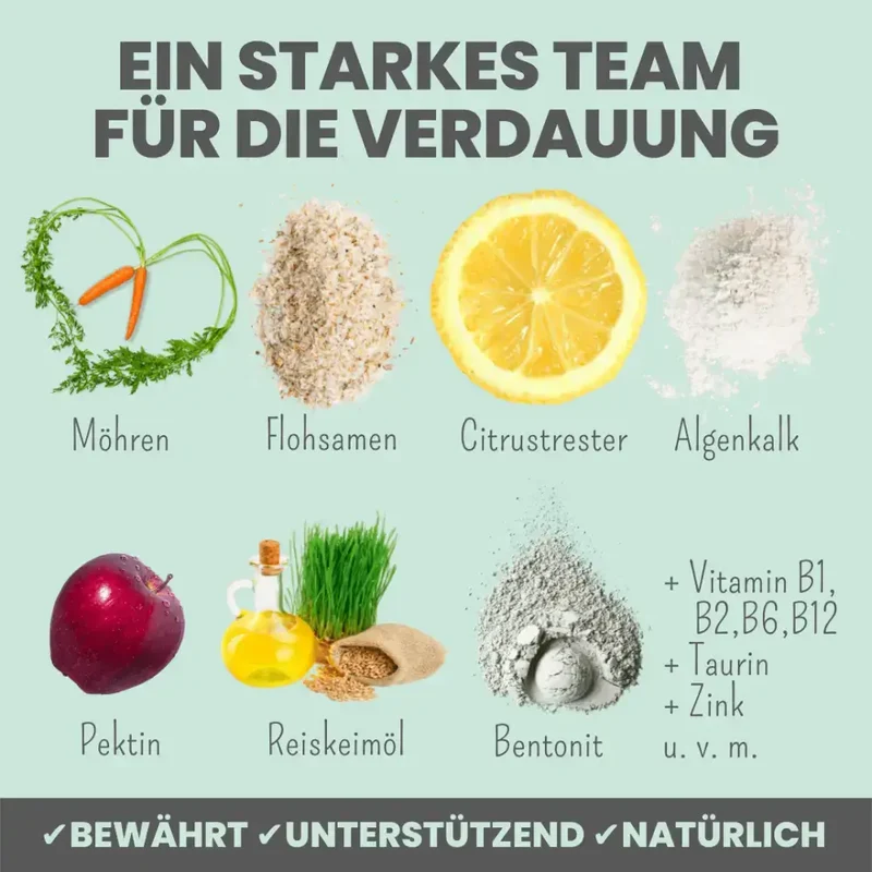 Verdauungsmix für Hunde | Gesunde Magen-& Darmflora