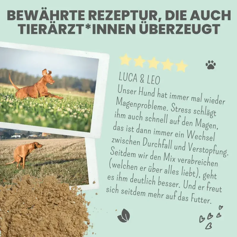 Verdauungsmix für Hunde | Gesunde Magen-& Darmflora