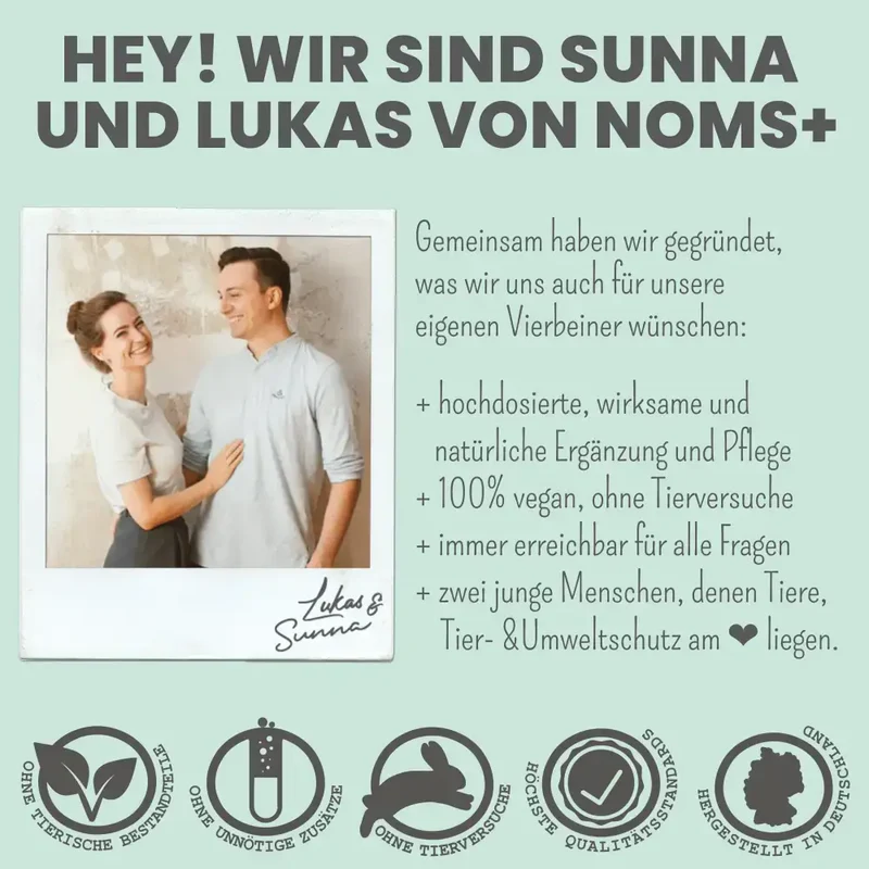 Verdauungsmix für Hunde | Gesunde Magen-& Darmflora