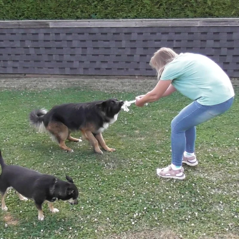 Karlie Knotenseil 30 cm lang - weiß - Baumwoll-Seil Zerrspiel Spielseil Kauseil