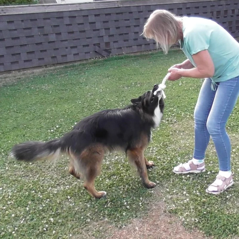 Karlie Knotenseil 30 cm lang - weiß - Baumwoll-Seil Zerrspiel Spielseil Kauseil