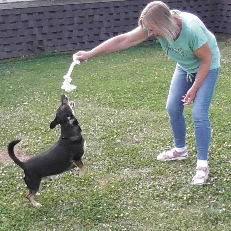 Karlie Knotenseil 30 cm lang - weiß - Baumwoll-Seil Zerrspiel Spielseil Kauseil