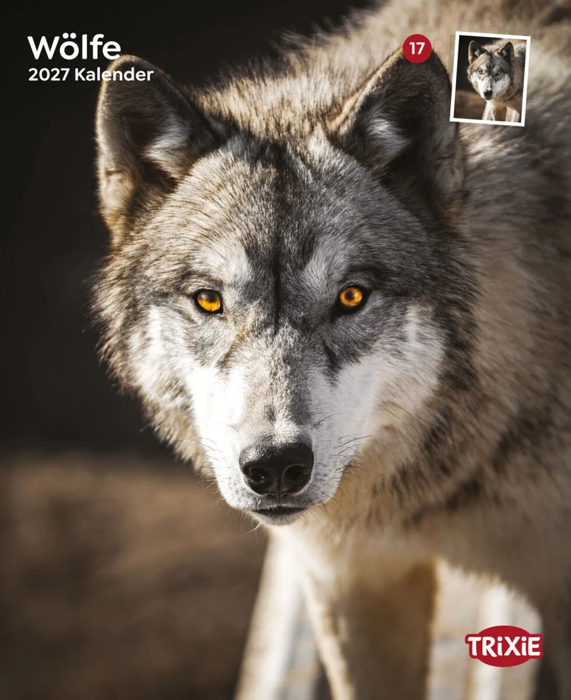 Kalender Wölfe