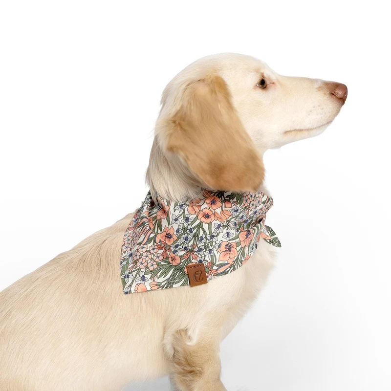 Hundehalstuch Bandana LTTL Blossoms