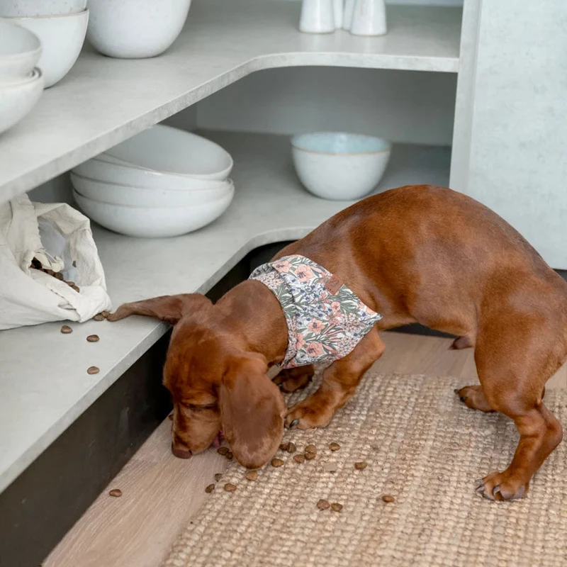 Hundehalstuch Bandana LTTL Blossoms