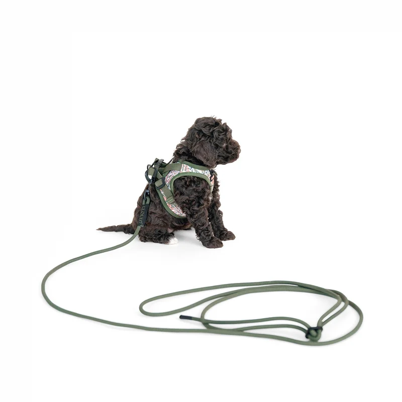 Seilleine LTTL Dark Olive