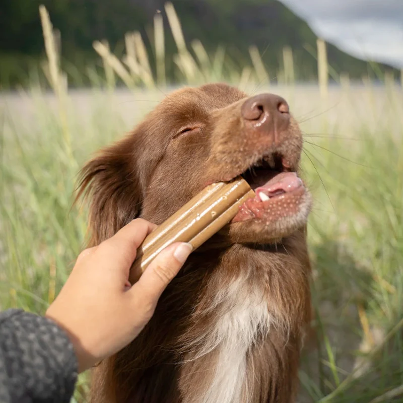Jumbo Dental Sticks, Cranberry & Sweet Potato