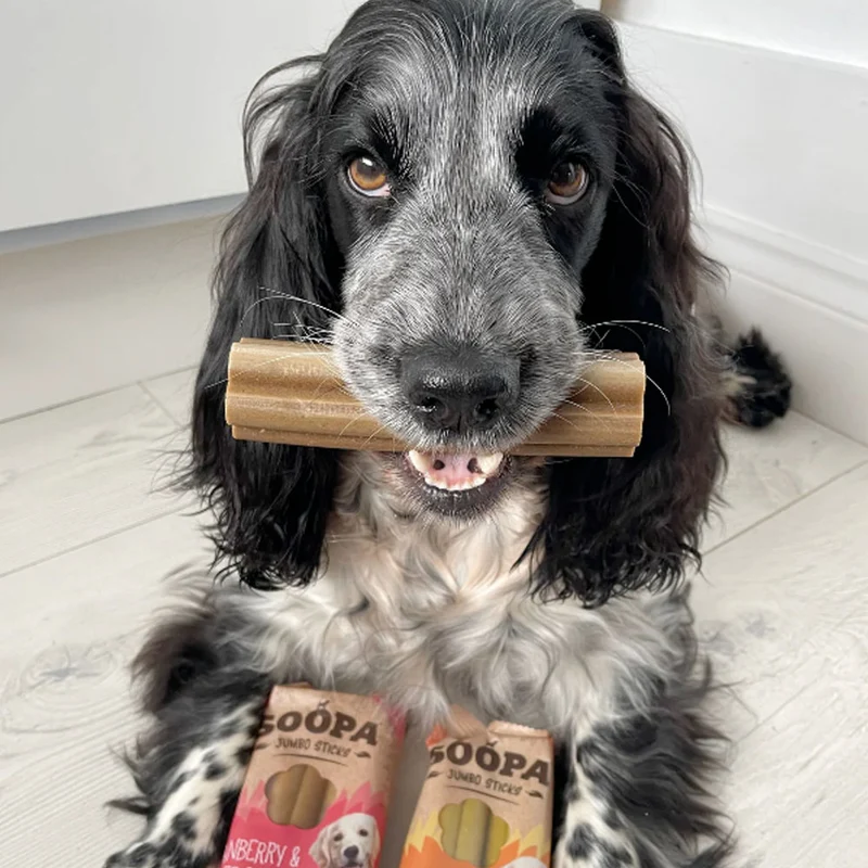 Jumbo Dental Sticks, Cranberry & Sweet Potato
