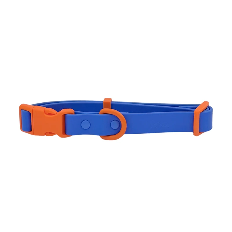 Hundehalsband, Blue Orange