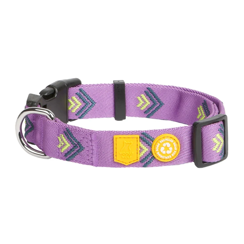 Hundehalsband, Northern Lights