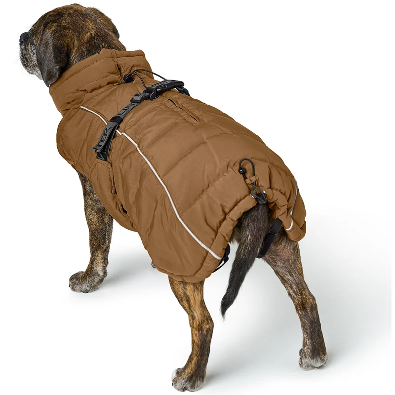 Hundemantel Paxson Mops & Co.