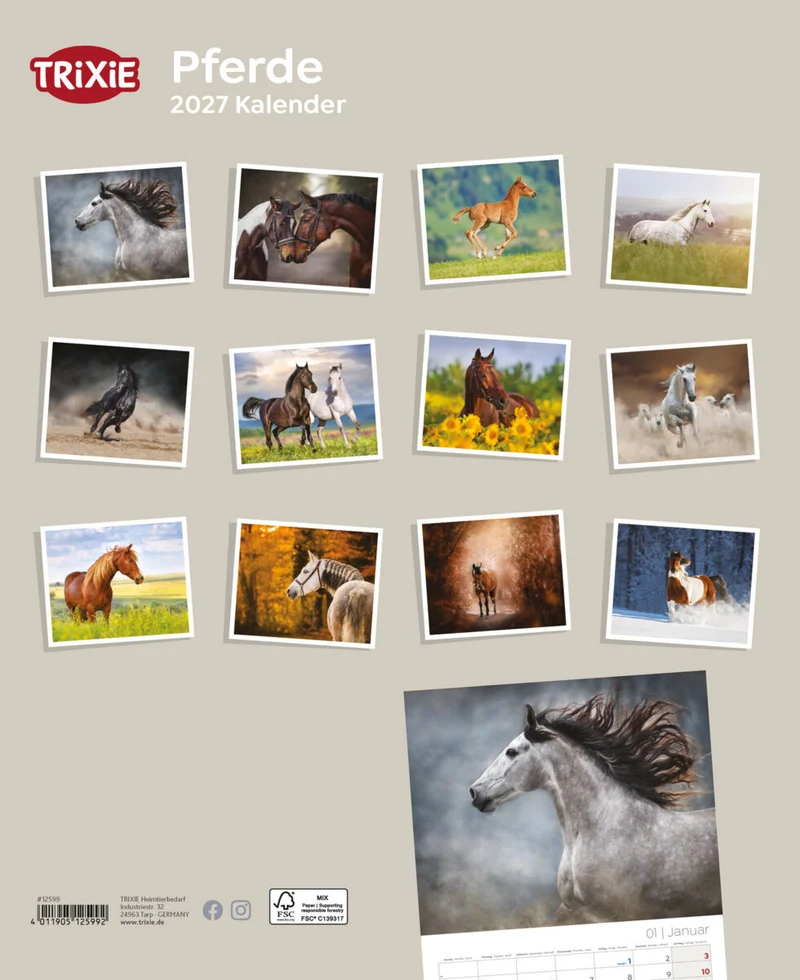 Kalender Pferde