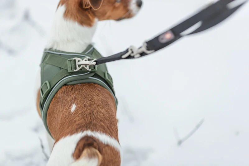 Atmungsaktives Hundegeschirr Premium UrbanVest mit verstellbarem Bauchgurt