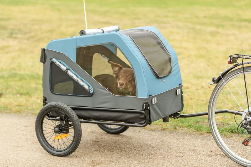 Fahrradanhänger für Hunde