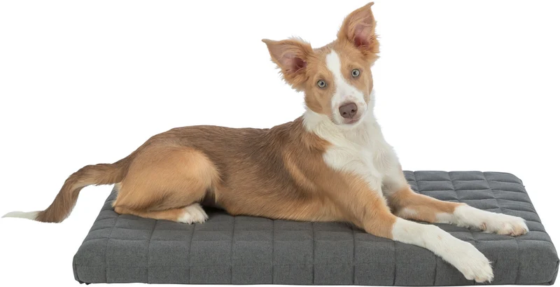 Orthopädische Matratze Caliente für Hunde und Katzen, bei 95 °C waschbar