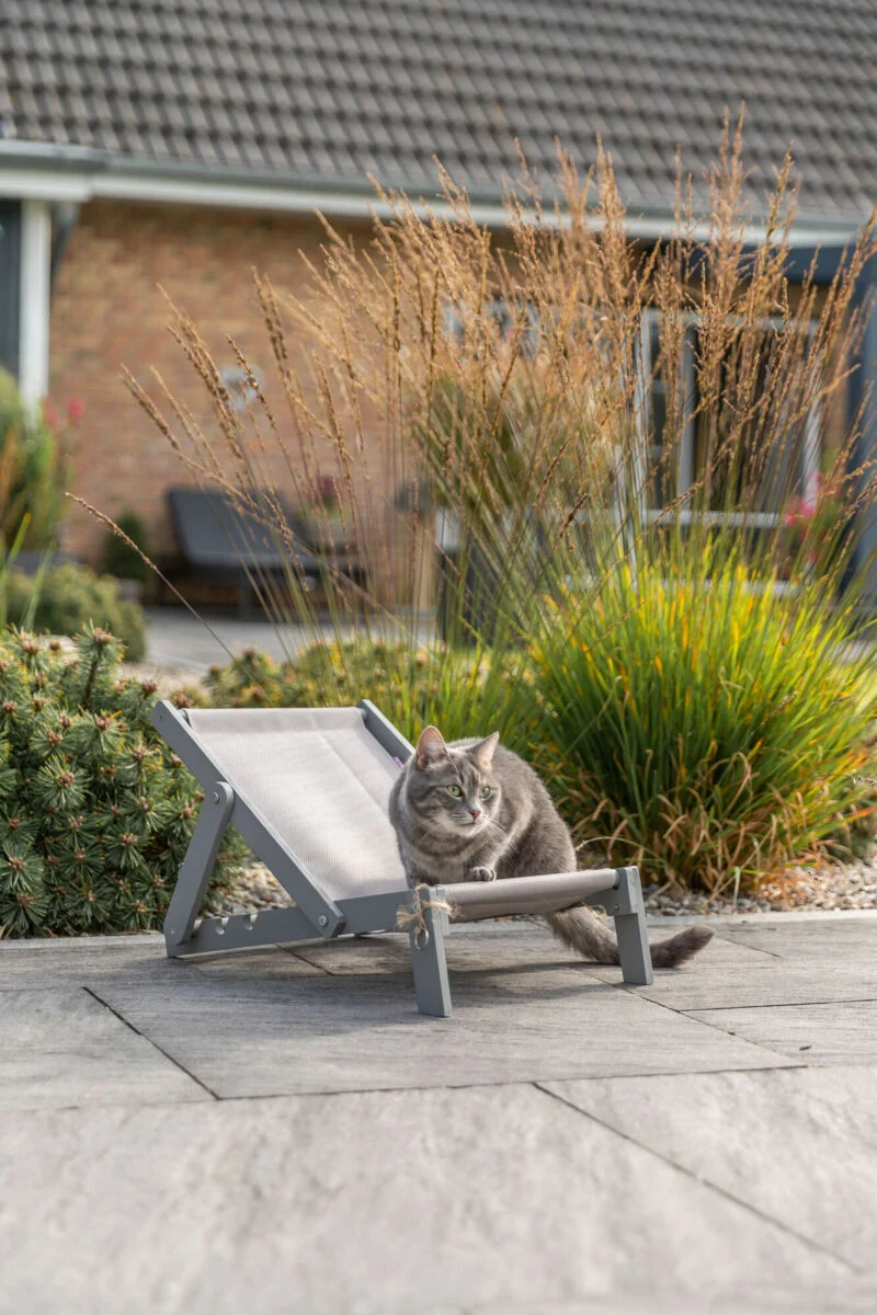 Outdoor Strandstuhl für Katzen