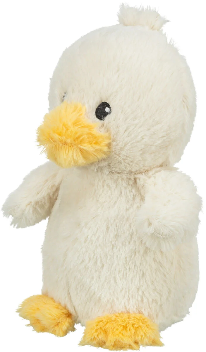 Küken