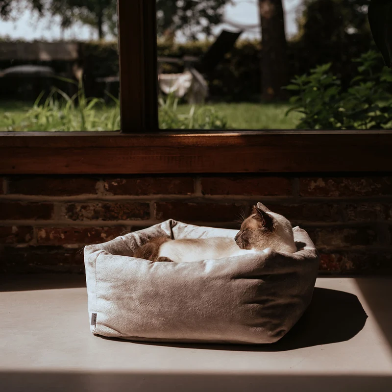 Katzenbett Dreamie