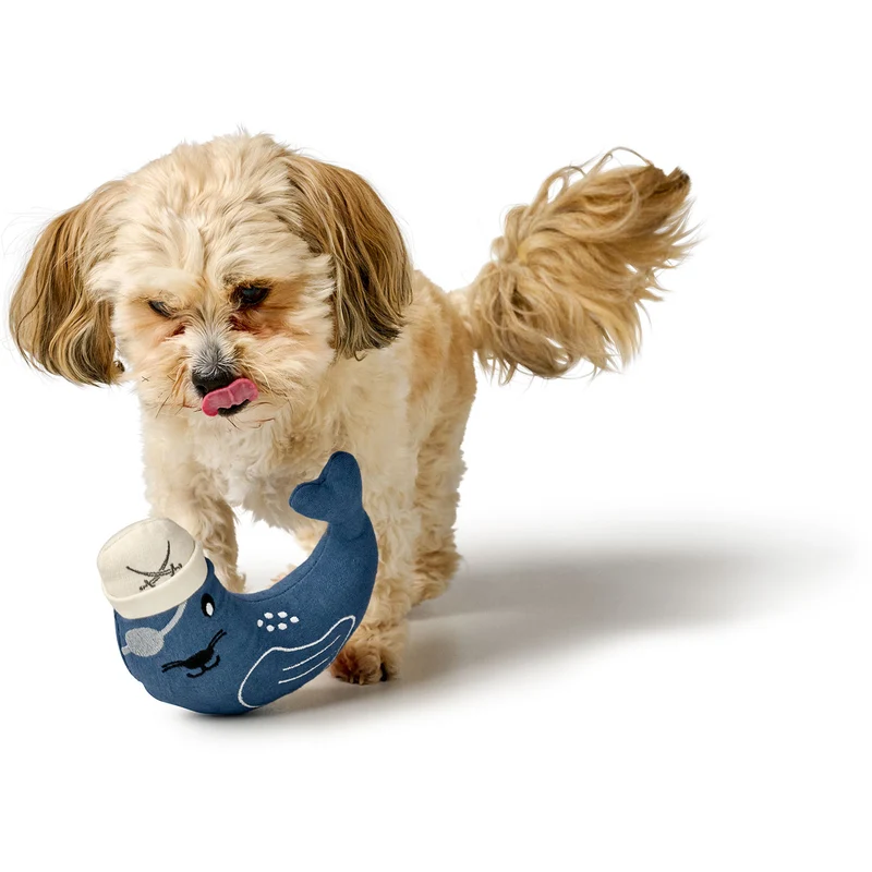 Hundespielzeug Sansibar Kampen