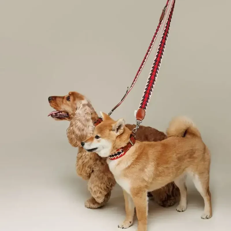 Hundehalsband | Peruvian Arrow Red