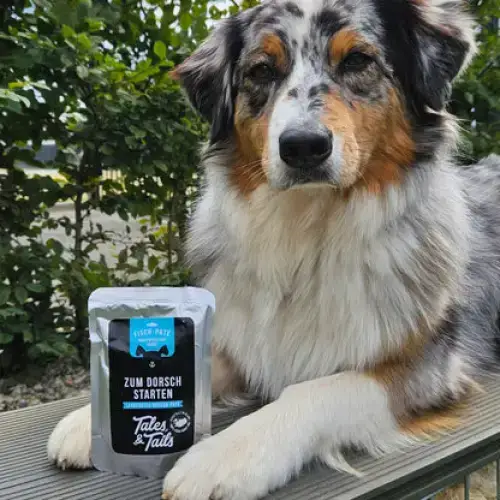 Nassfutter Hund | Dorschstarten
