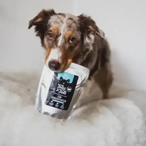 Nassfutter Hund | Dorschstarten