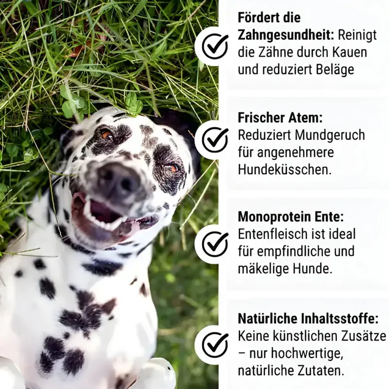 Zahnpflege Kausticks | Entelich Zähne zeigen