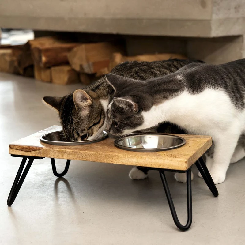 Designed by Lotte - Dinnerset LINGA für Katzen - Holz - mit 2 Edelstahl-Näpfen