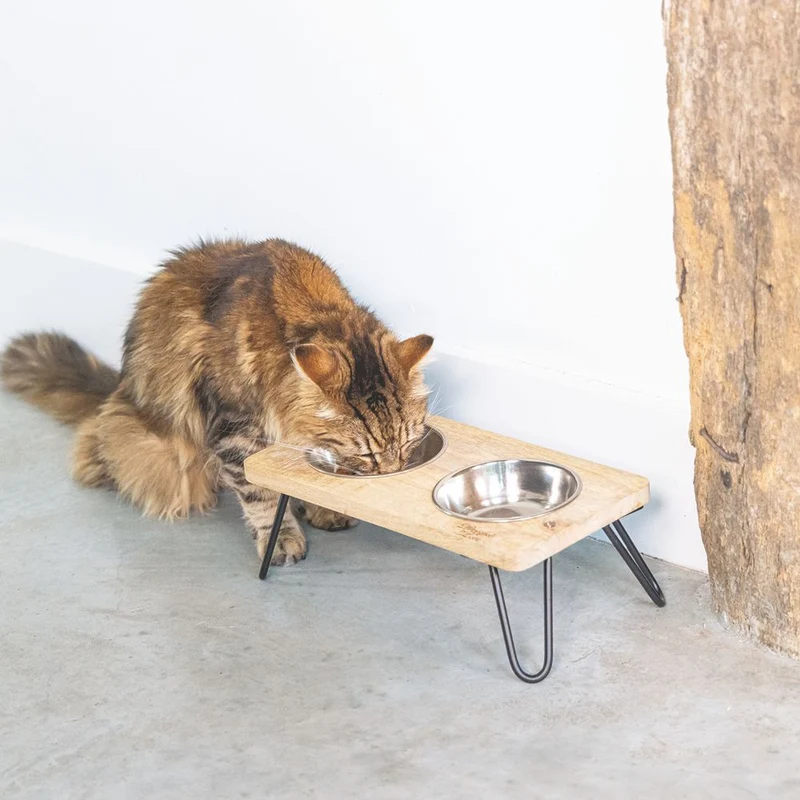 Designed by Lotte - Dinnerset LINGA für Katzen - Holz - mit 2 Edelstahl-Näpfen