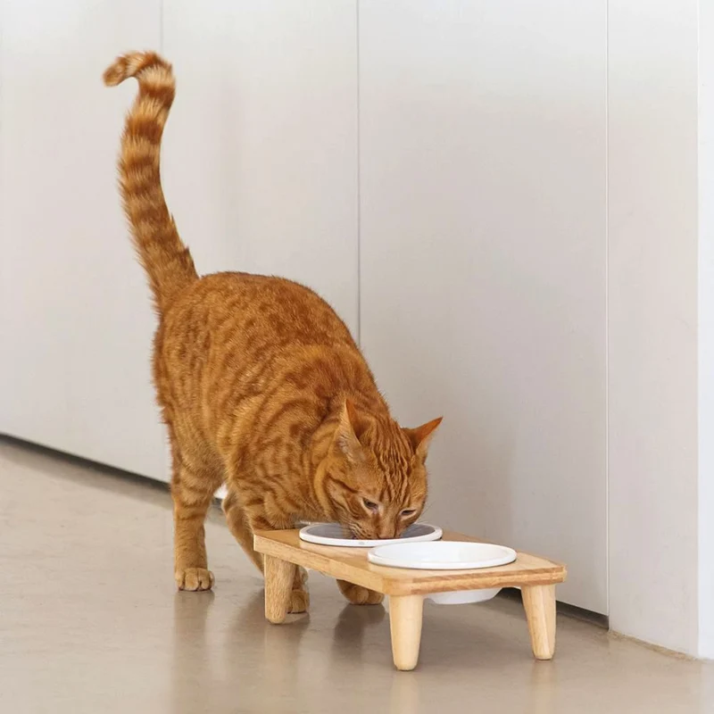 Designed by Lotte - Dinnerset DJEHA für Katzen - Holz - mit 2 Keramik-Näpfen