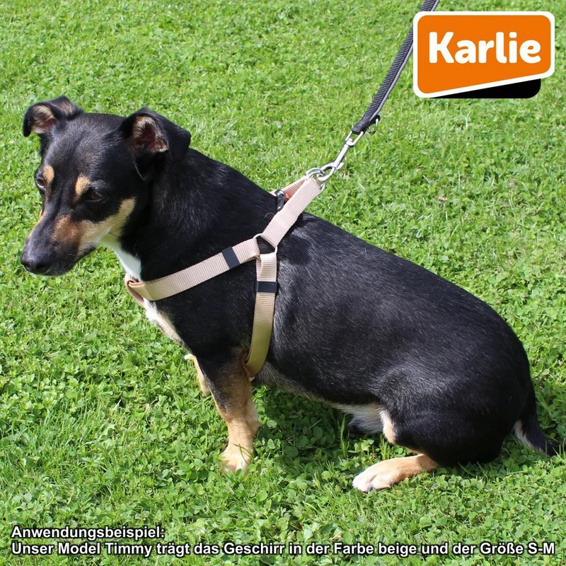 Karlie Geschirr ART SPORTIV PLUS - Step & Go Brustgeschirr - Nylon Hundegeschirr
