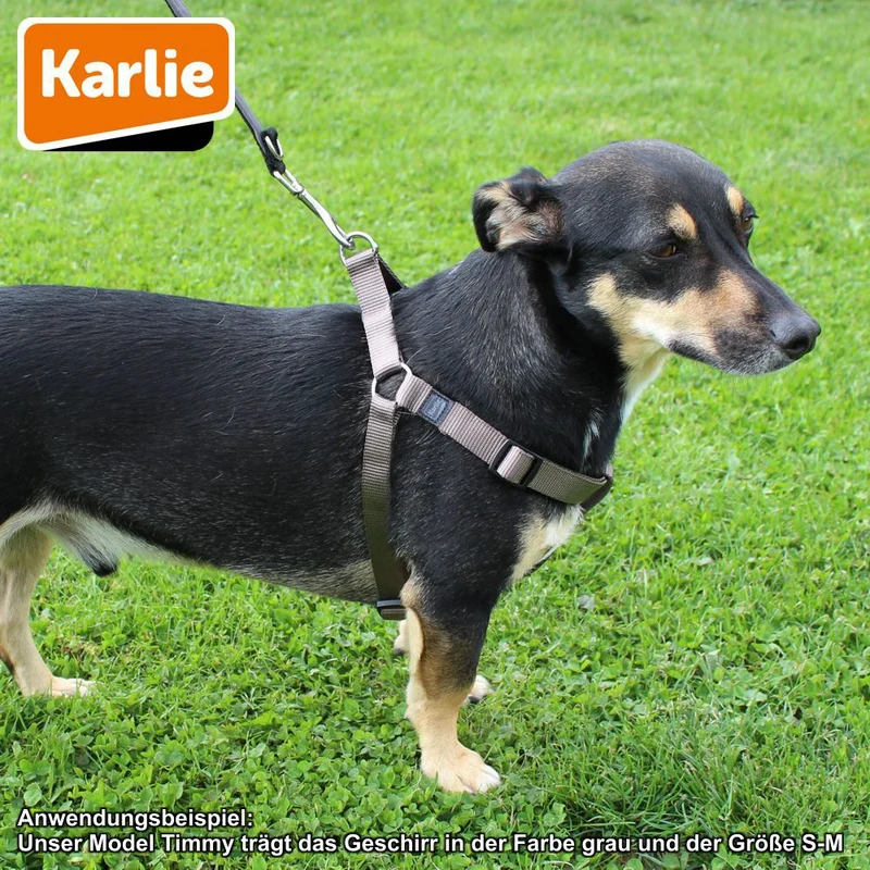 Karlie Geschirr ART SPORTIV PLUS - Step & Go Brustgeschirr - Nylon Hundegeschirr