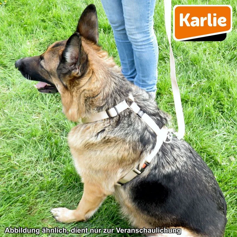 Karlie Geschirr ART SPORTIV PLUS - XS/M/L/XL - Nylon Hundegeschirr Brustgeschirr