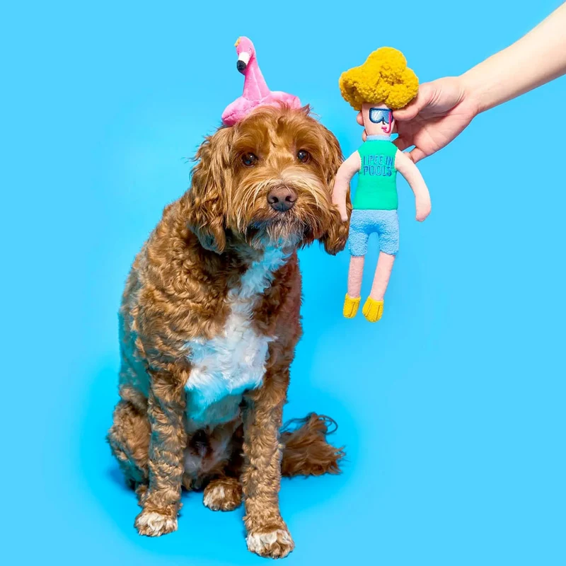 Hundespielzeug, Flamingo Hooman