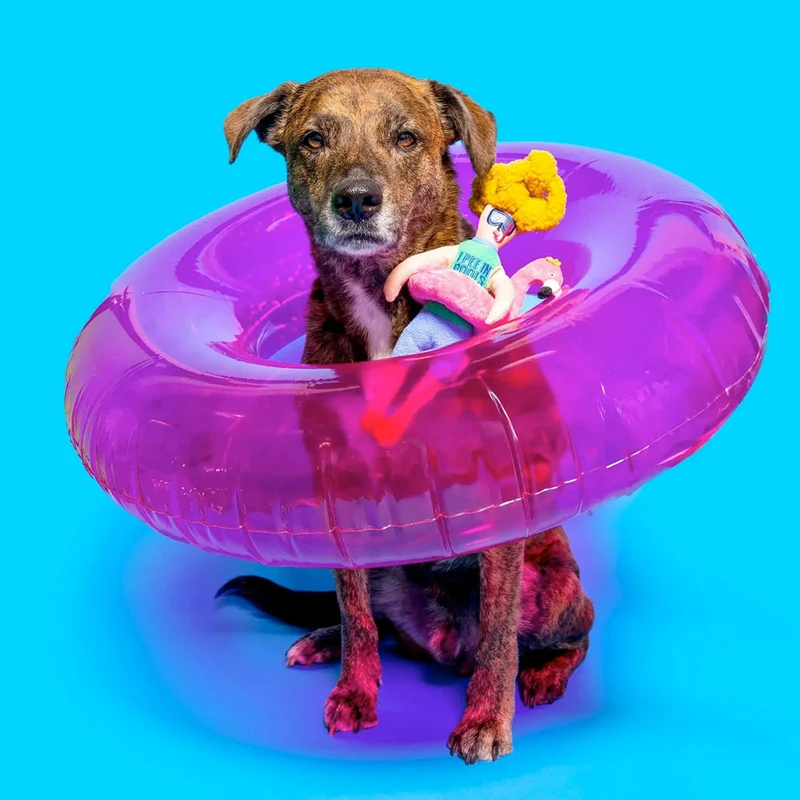 Hundespielzeug, Flamingo Hooman