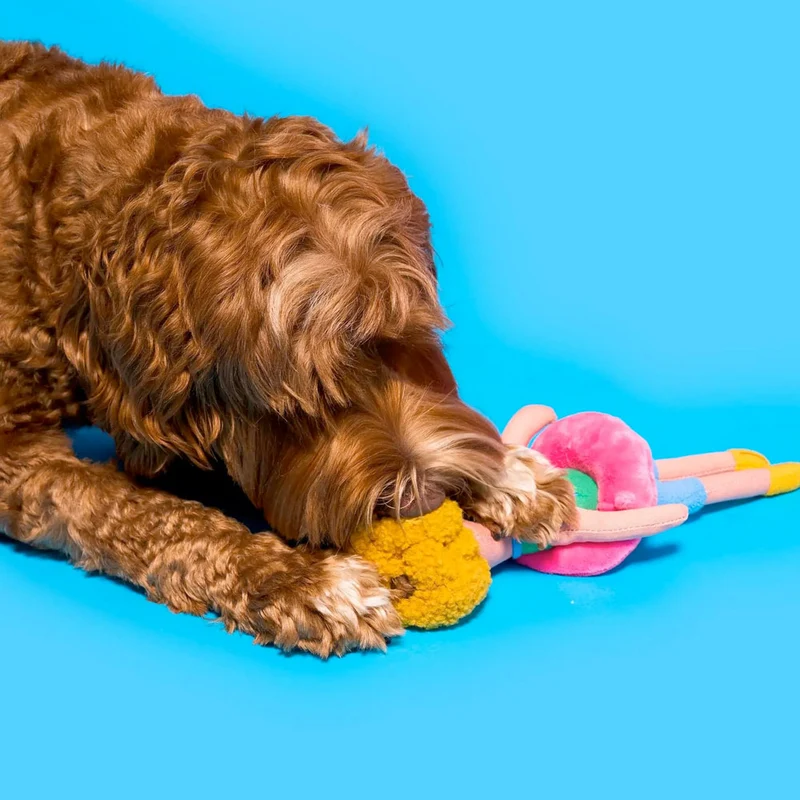 Hundespielzeug, Flamingo Hooman