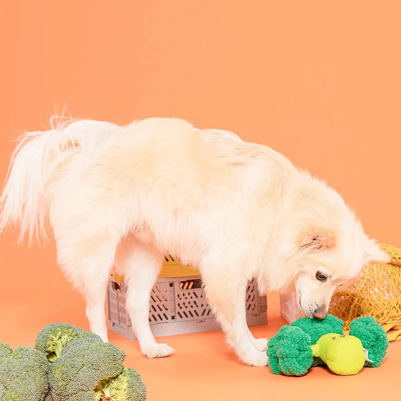 Hundespielzeug, Broccoli